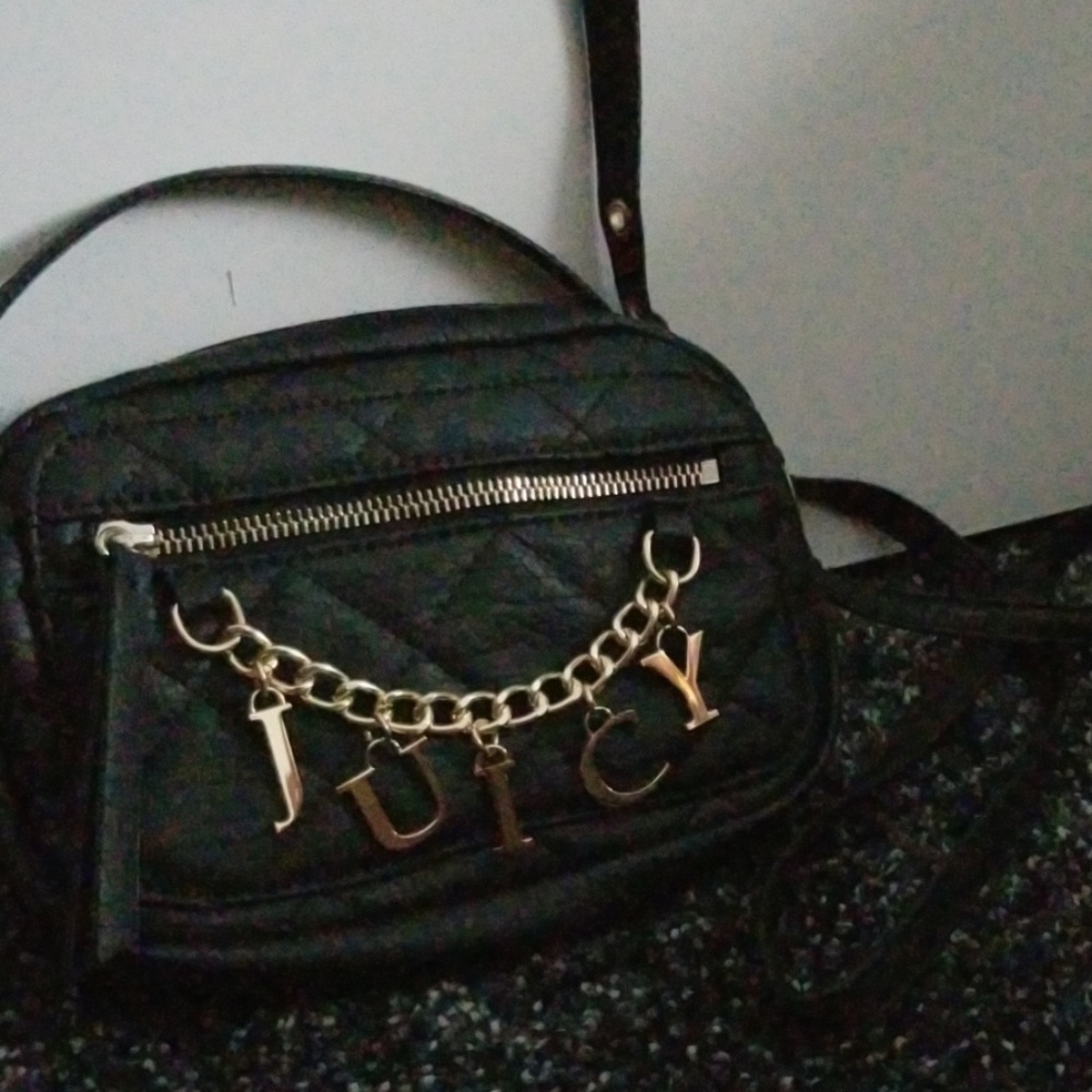 New Juicy Couture Bag